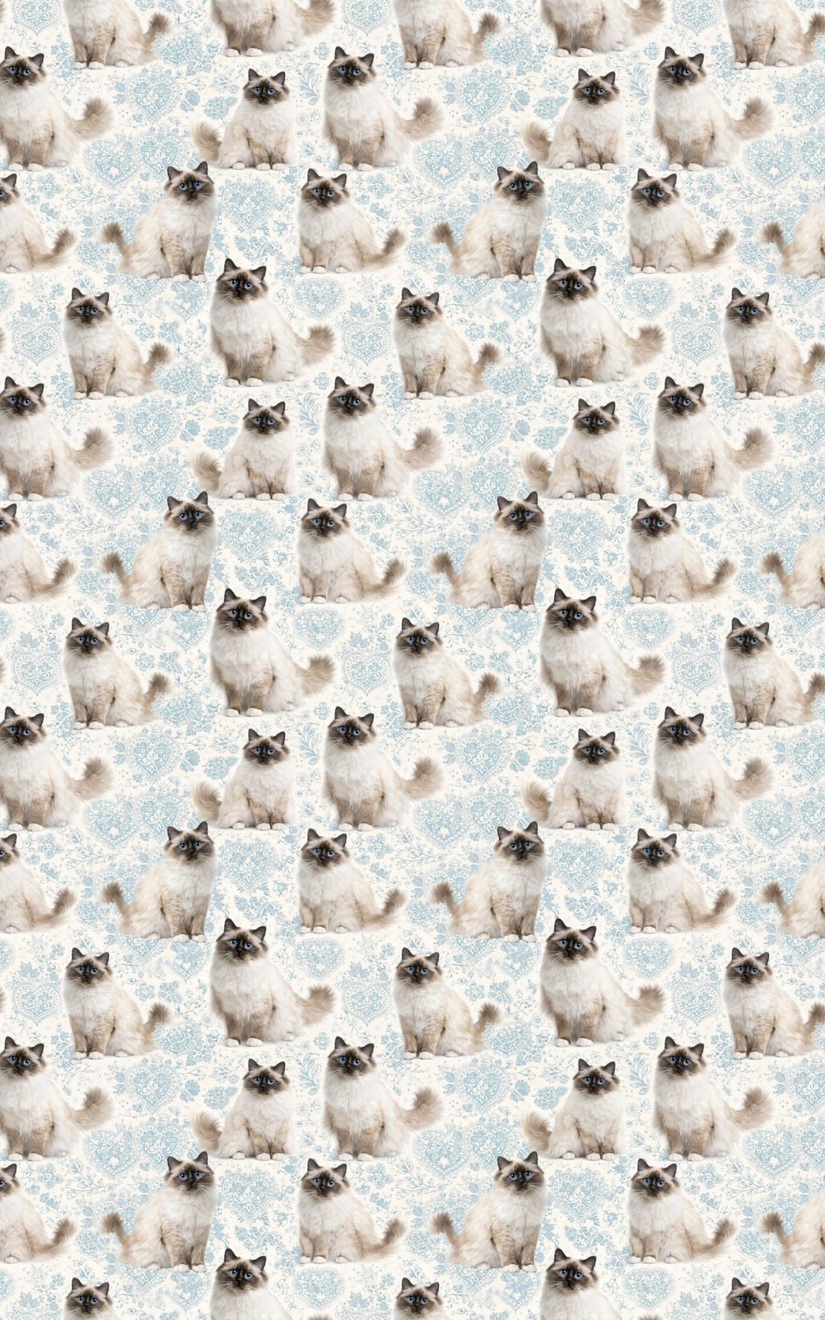 Birman Blue Elegance - London Penny Gift Wrap