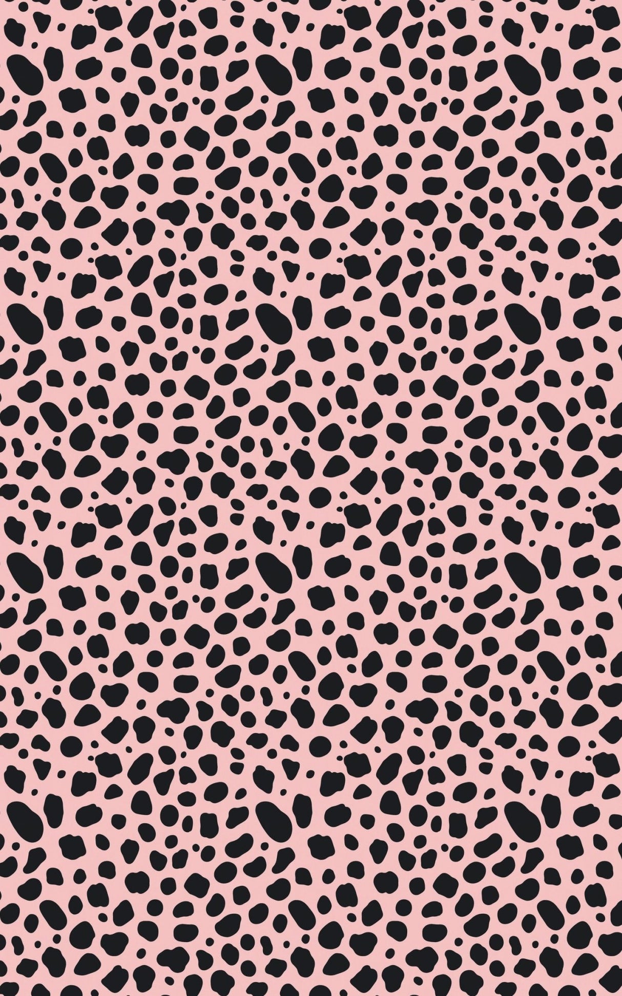 Dalmatian Dots Deluxe - London Penny Gift Wrap