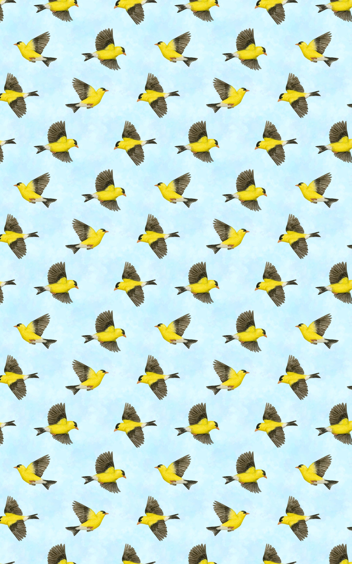 The Finch’s Song