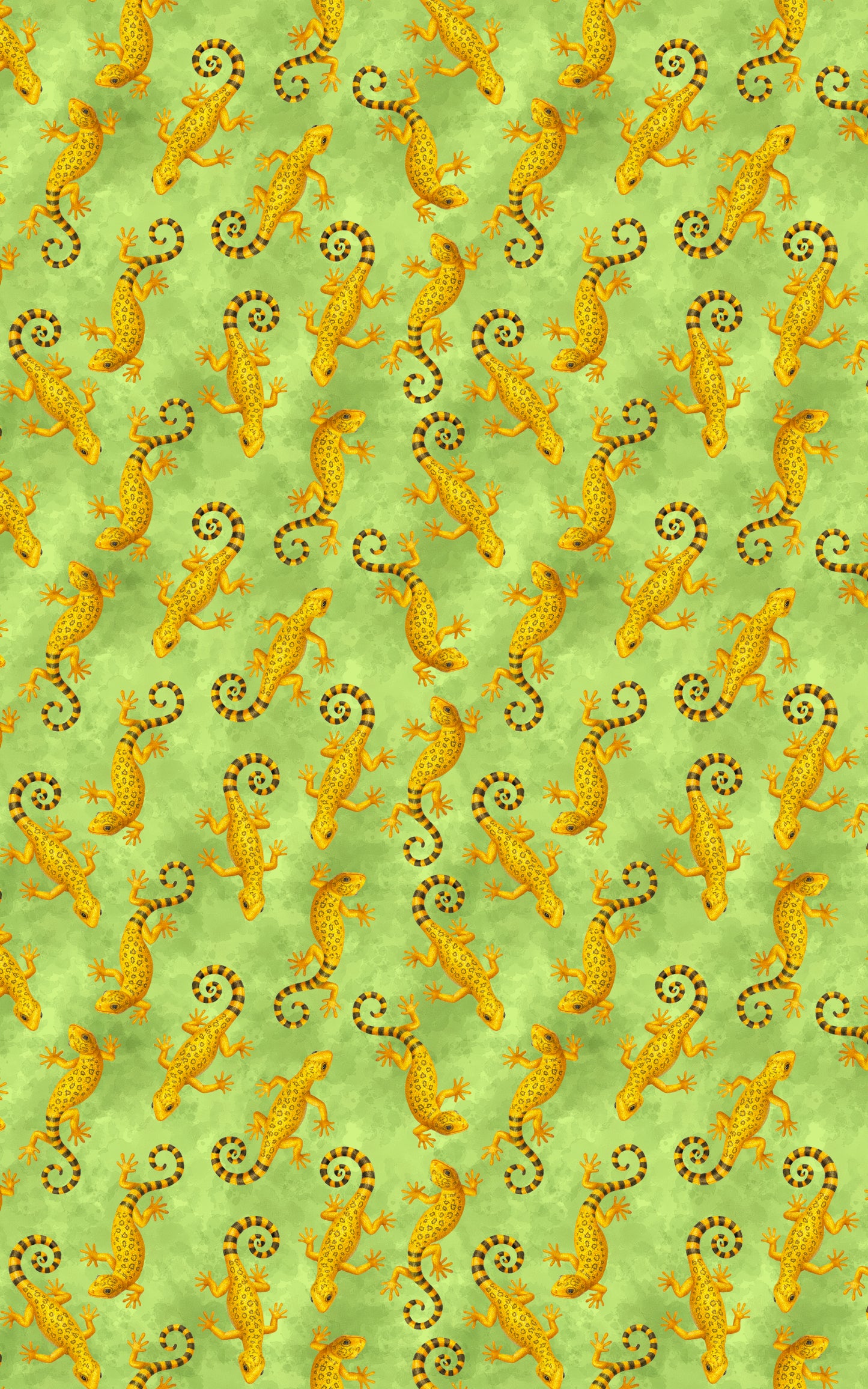 Golden Gecko Dance