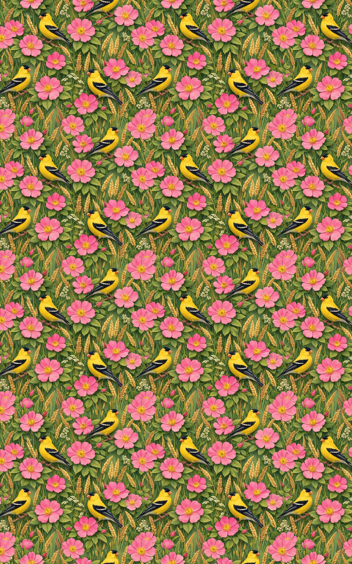 Iowa Flora & Fauna