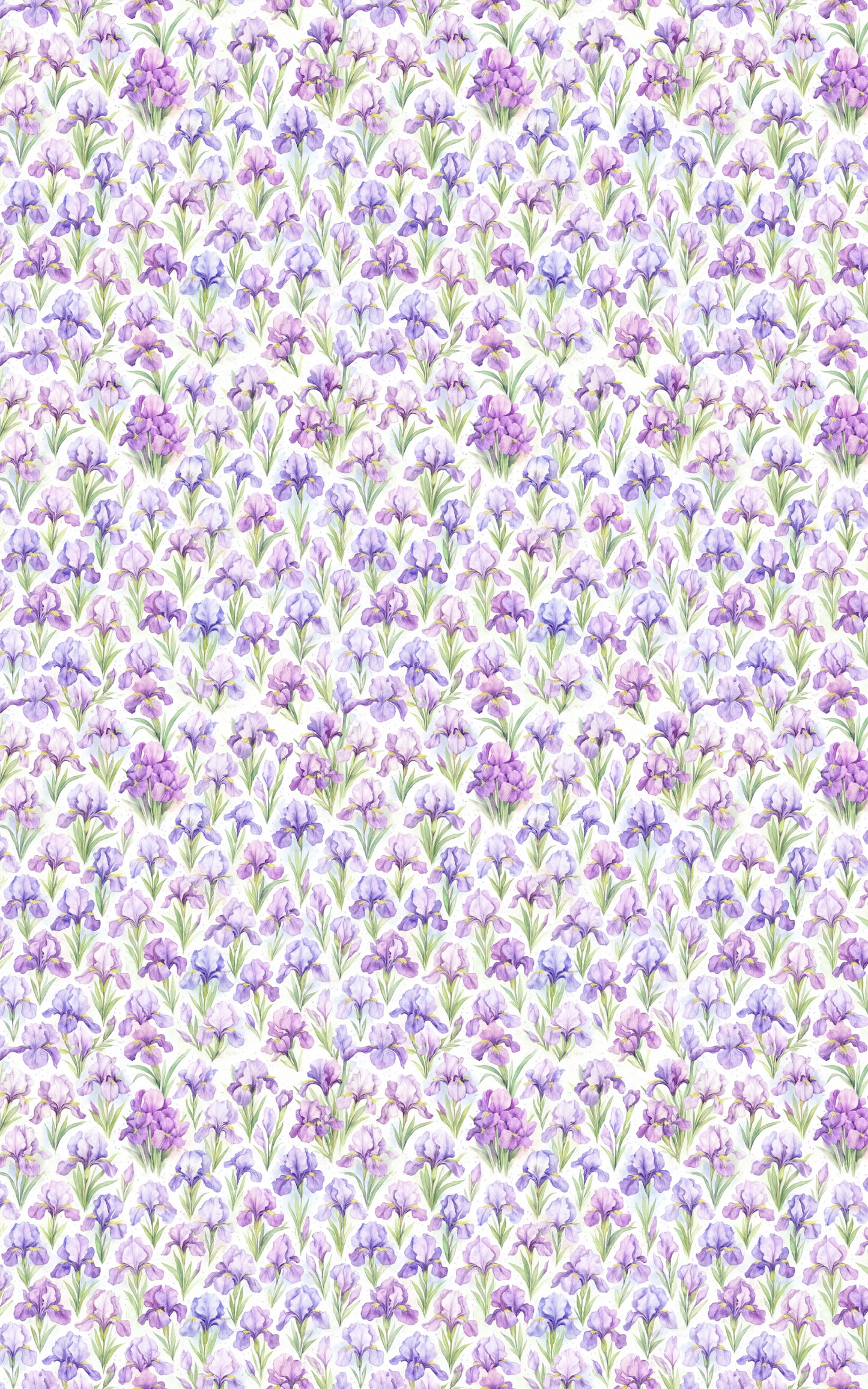 Spring Iris Dance