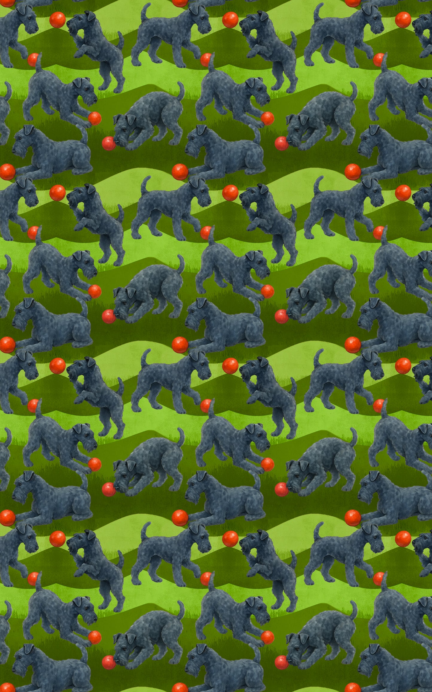 Garden Kerry Blue Terrier
