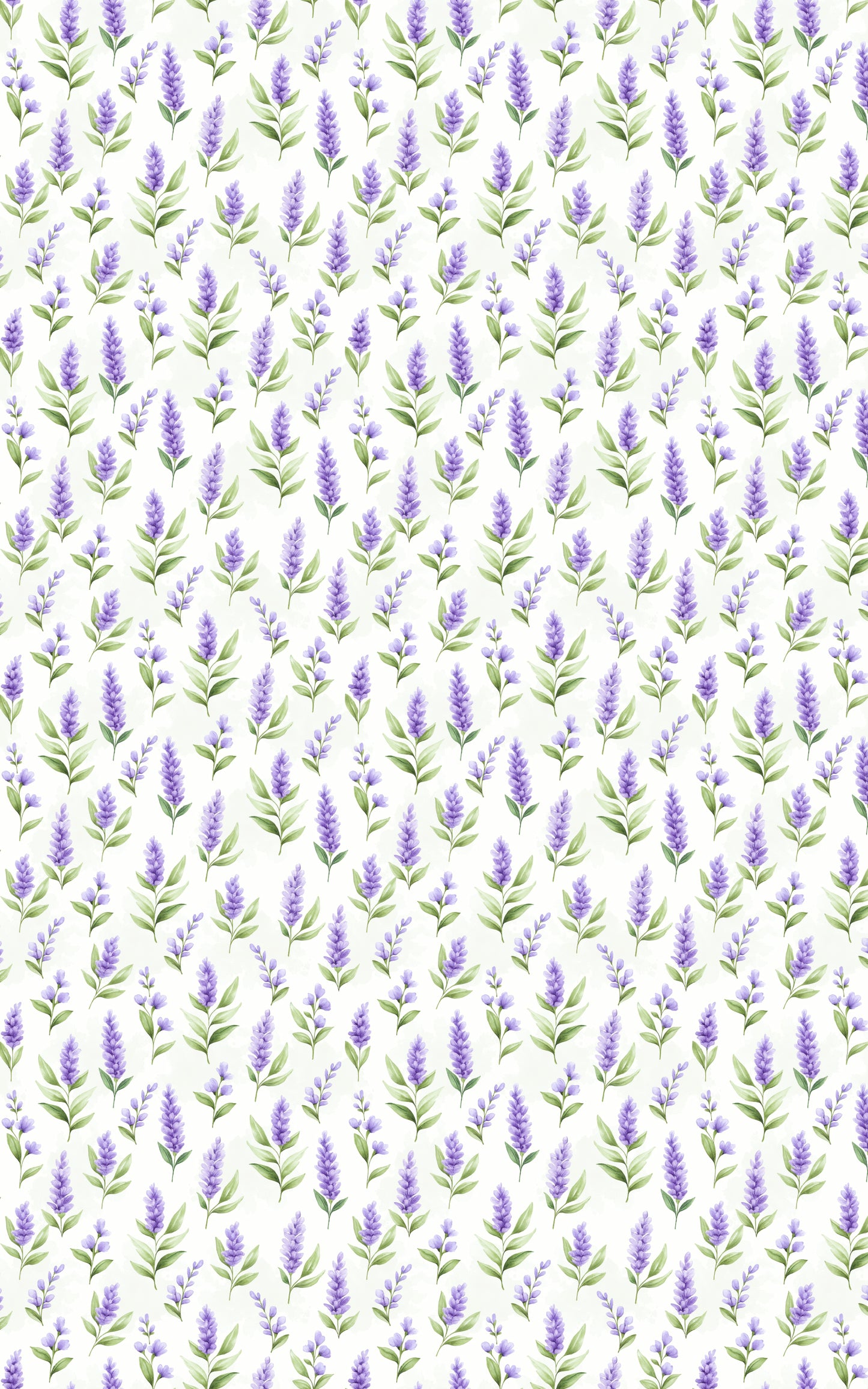 Lavender Breeze