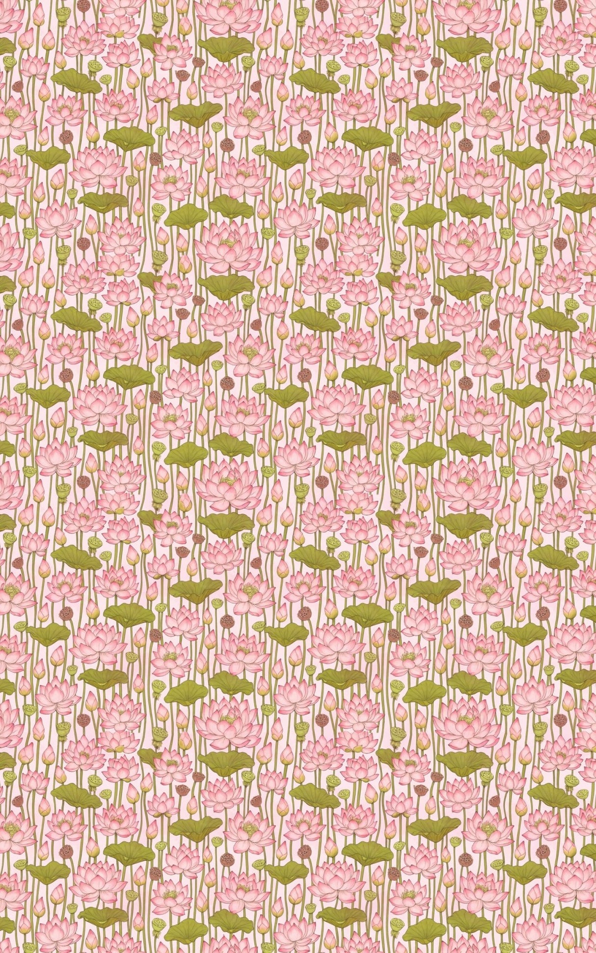 Lotus Bloom - London Penny Gift Wrap