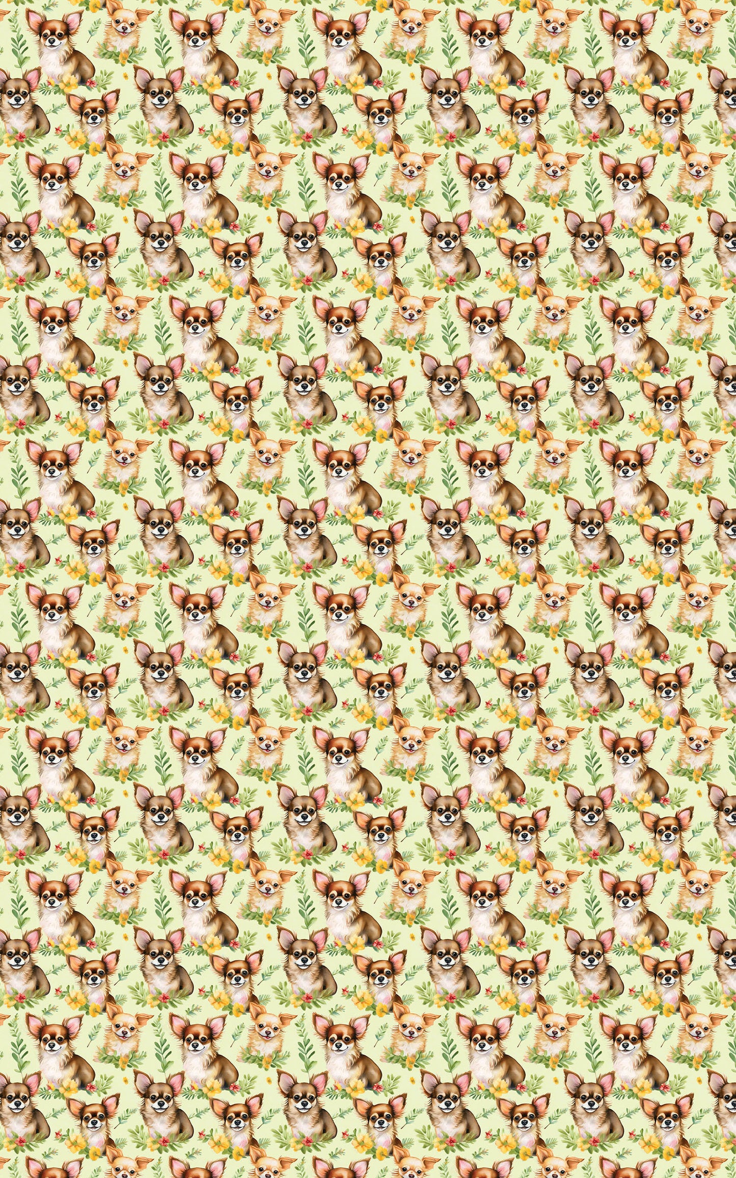 Chihuahua Charm