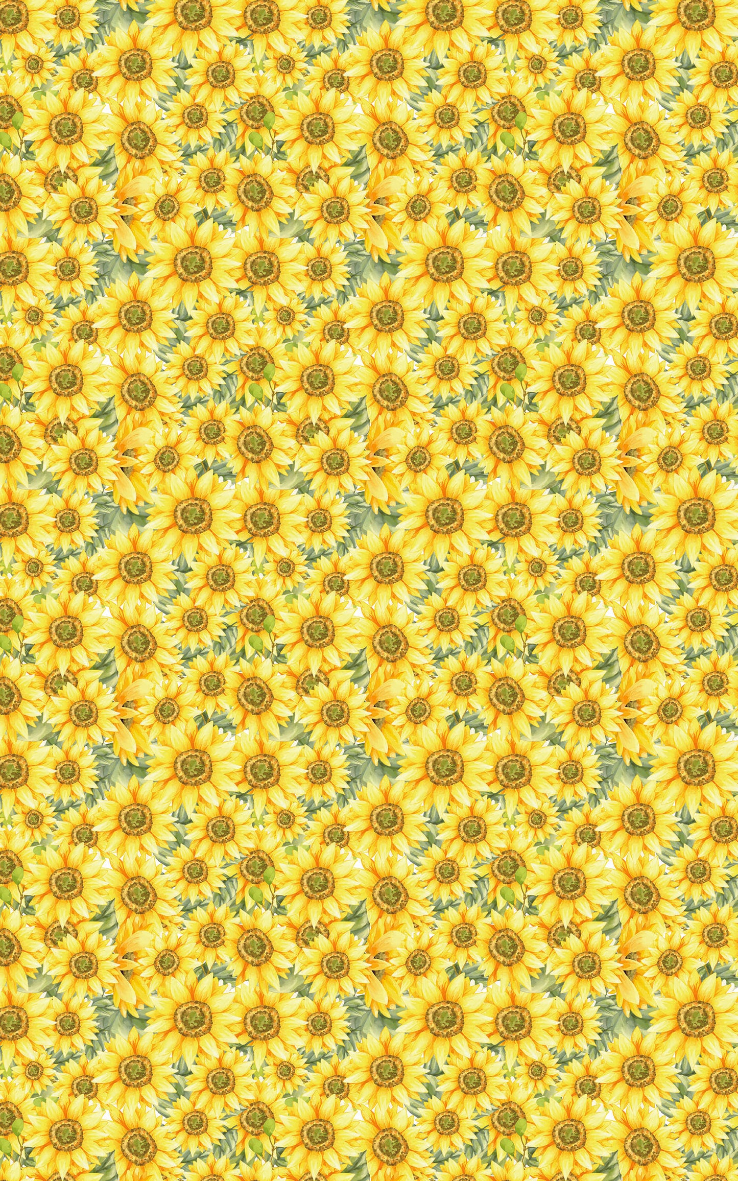 Summer Sunflower II