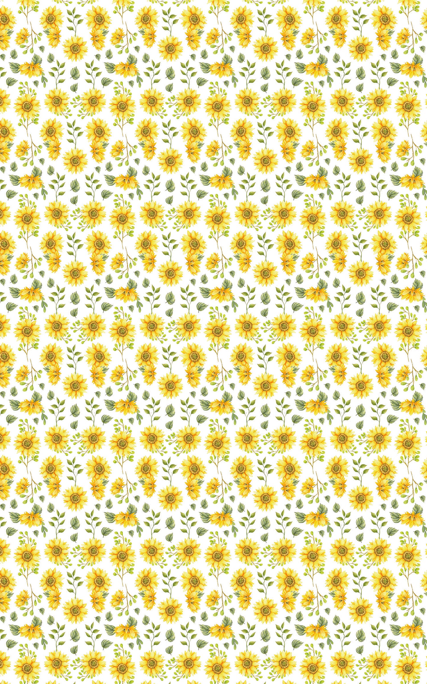 Sunflower White