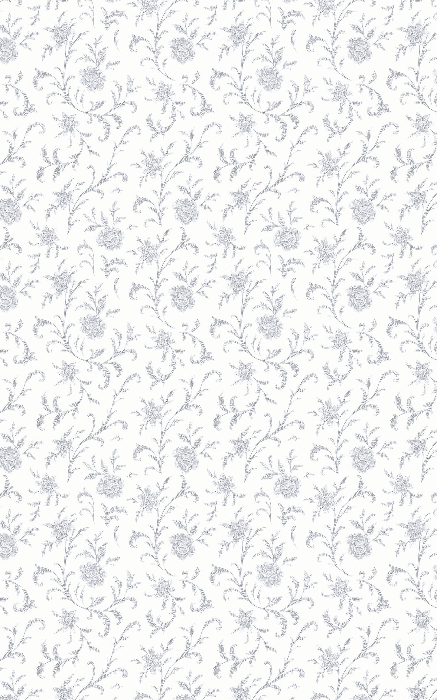 Baroque Blanche