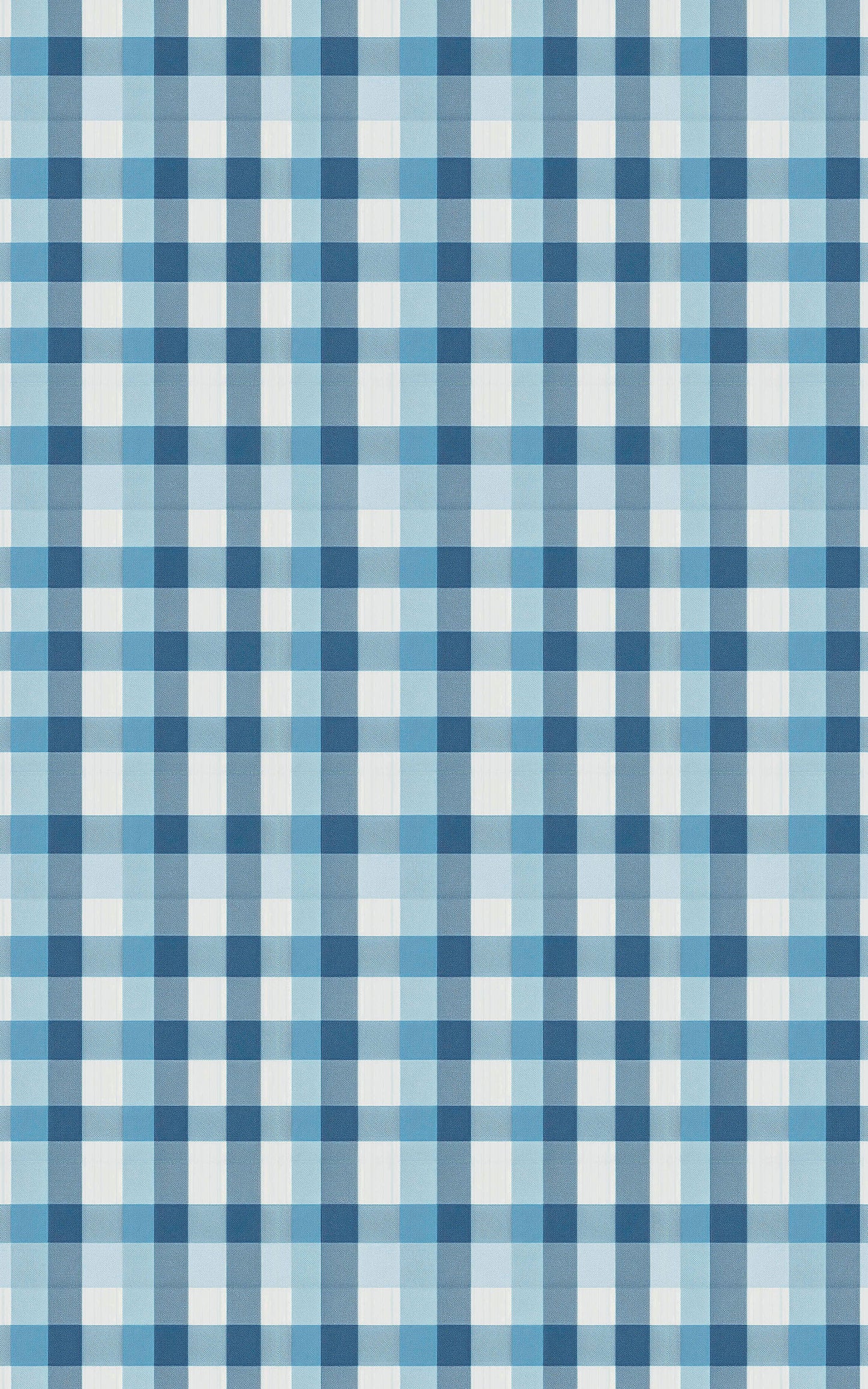 Gingham Gala Coastal Blue