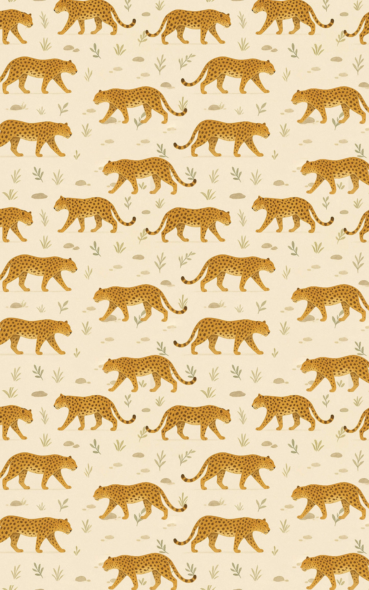 Safari Stroll: Leopard