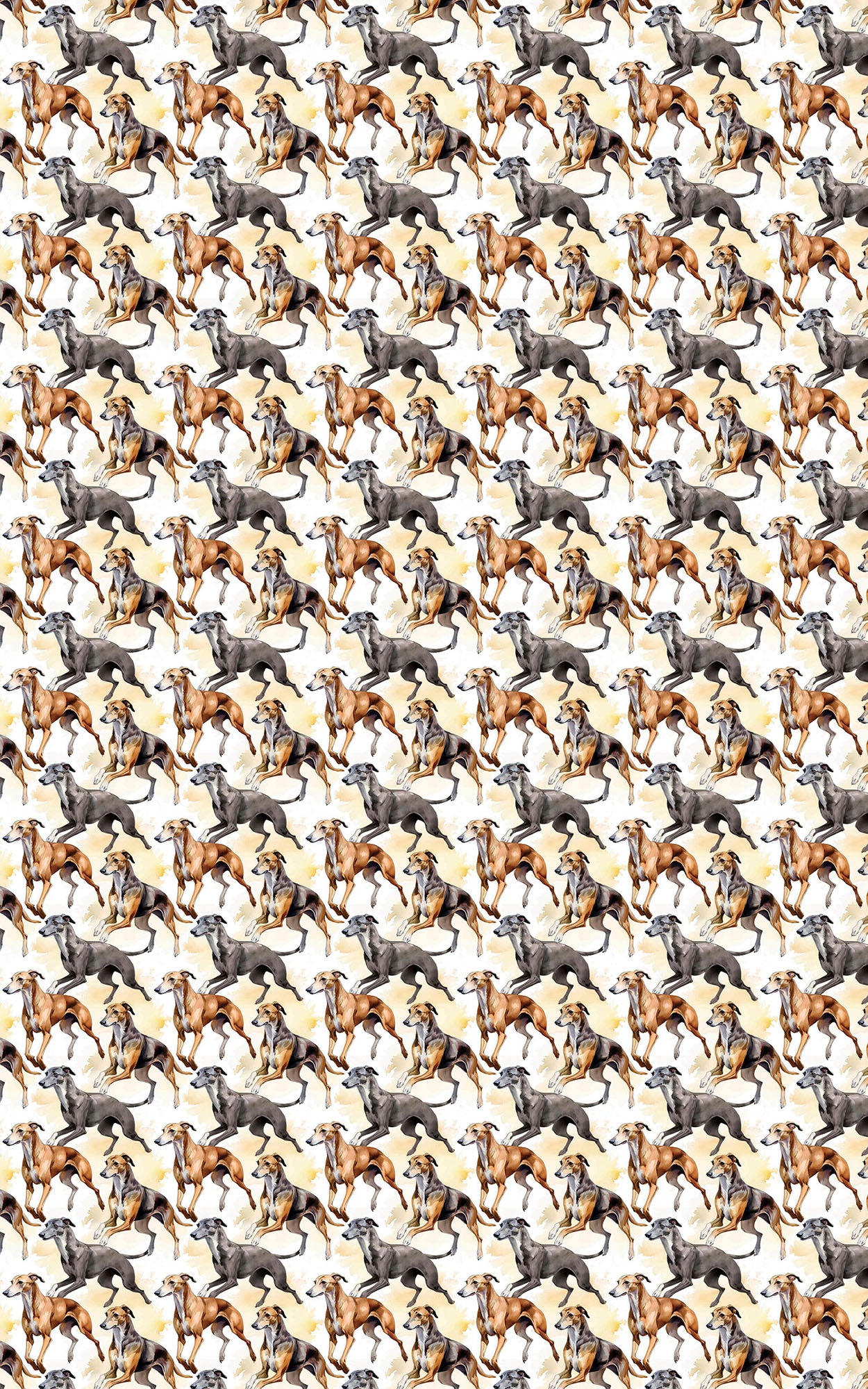 Speed & Grace – Greyhound