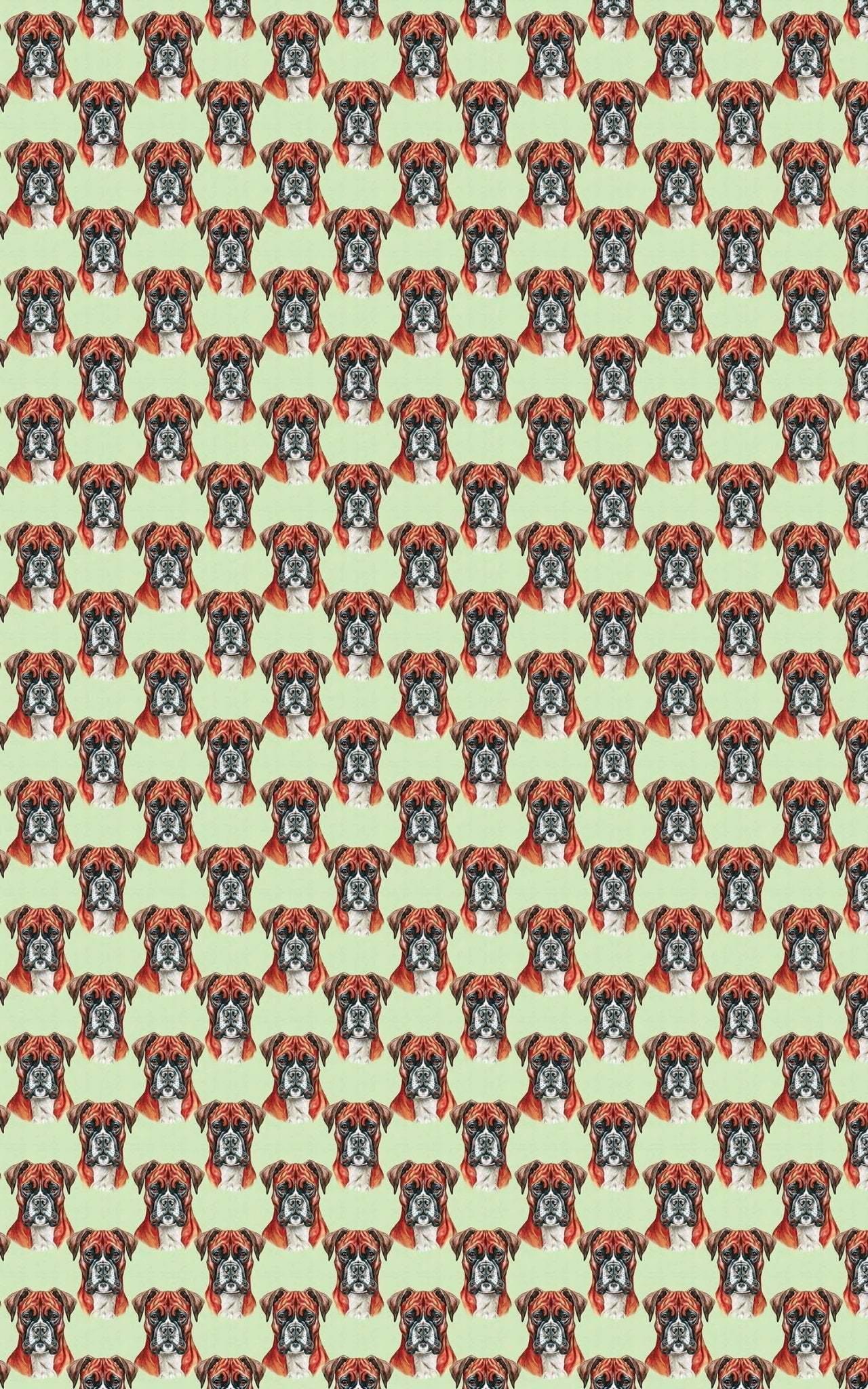 Boxer Muscle - London Penny Gift Wrap