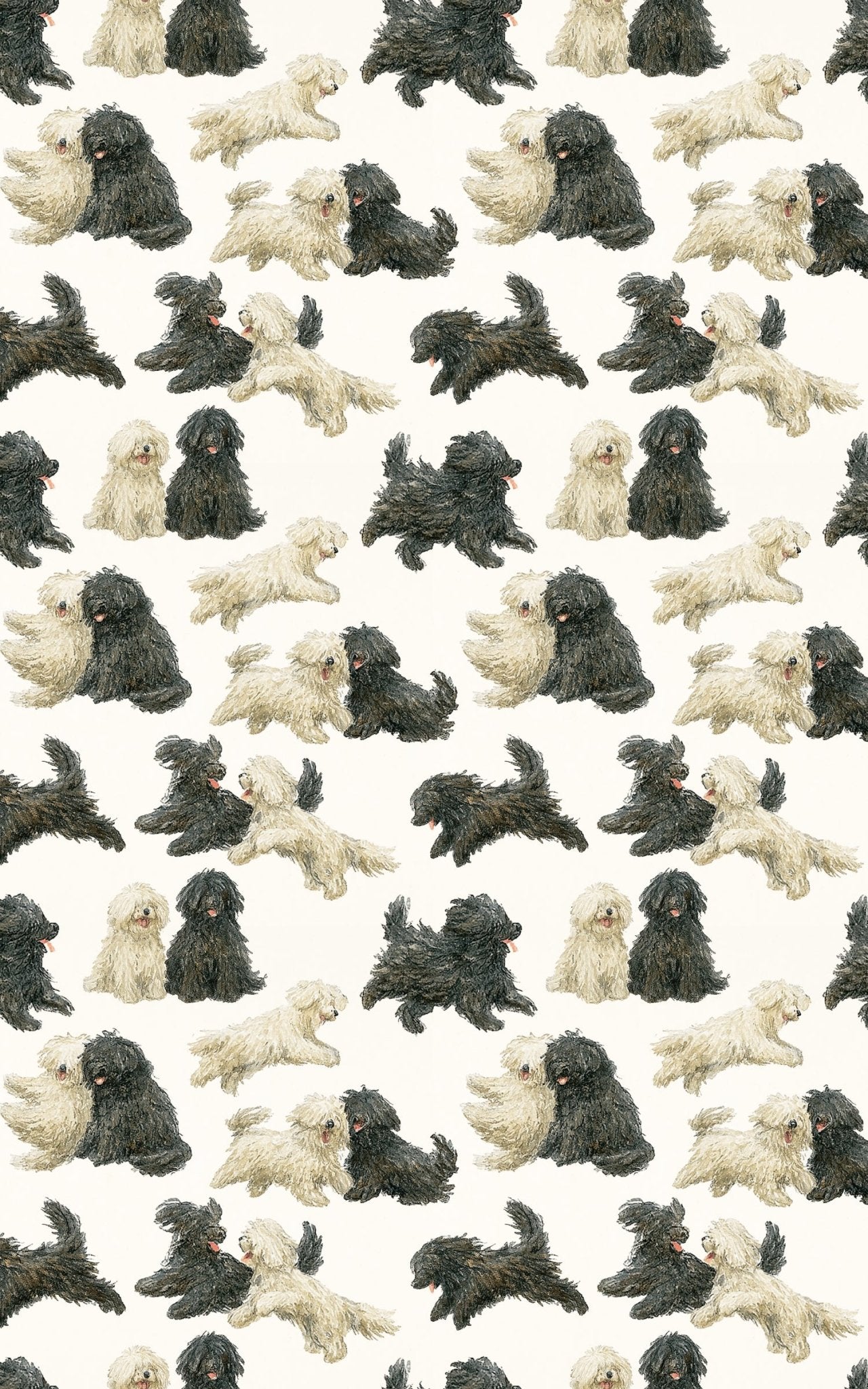 Happy Curls - London Penny Gift Wrap