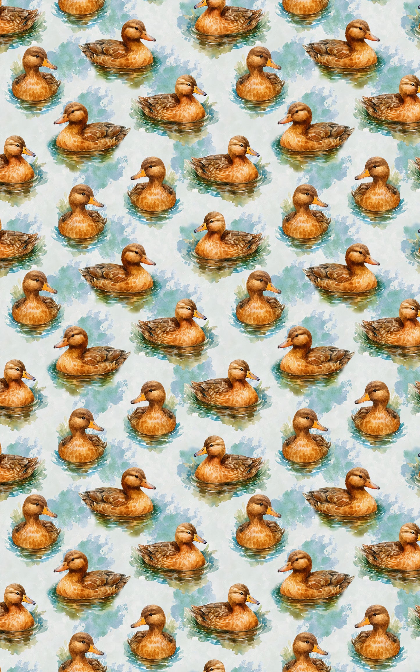 Ripples & Feathers