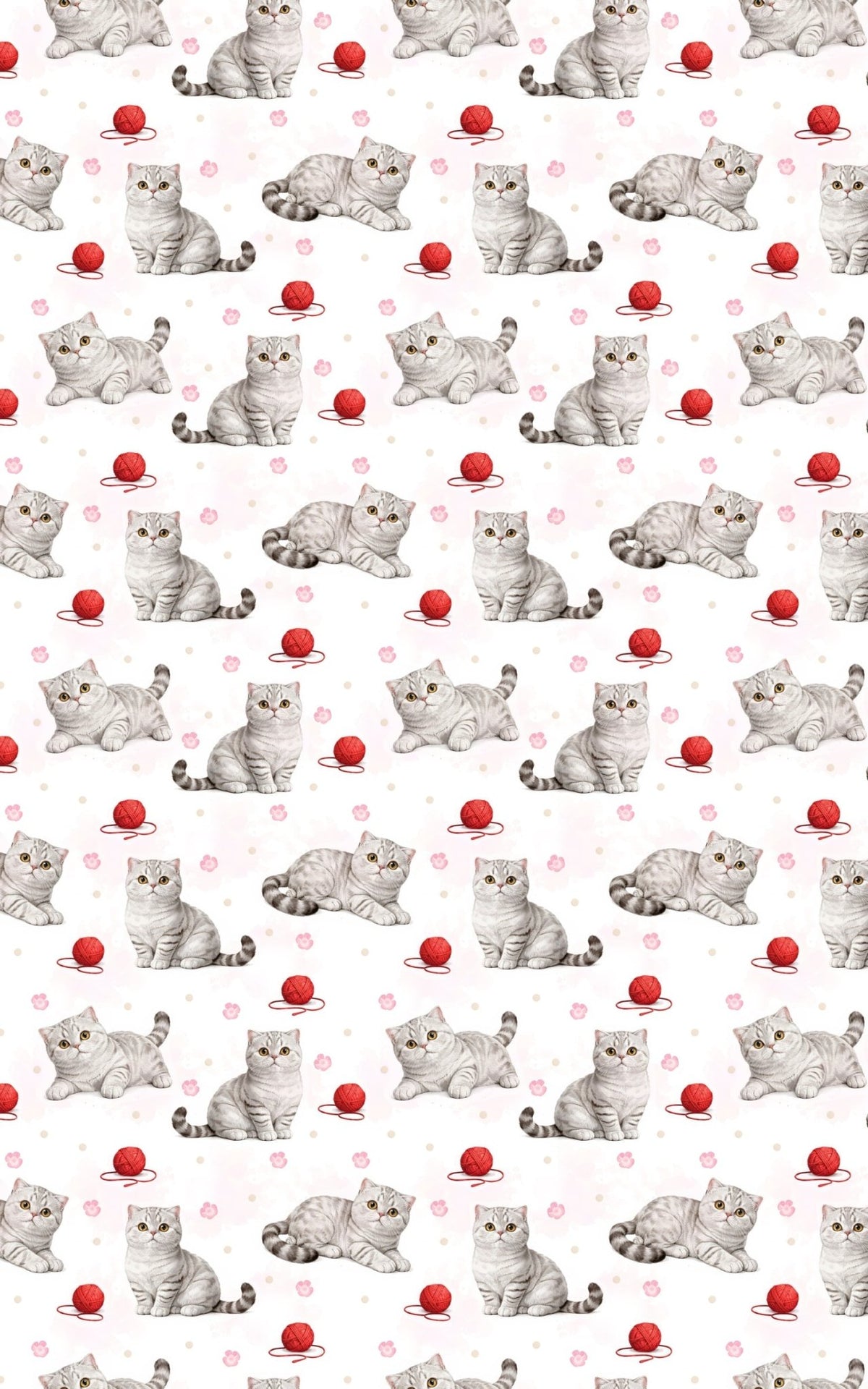 Scottish Fold Dots - London Penny Gift Wrap