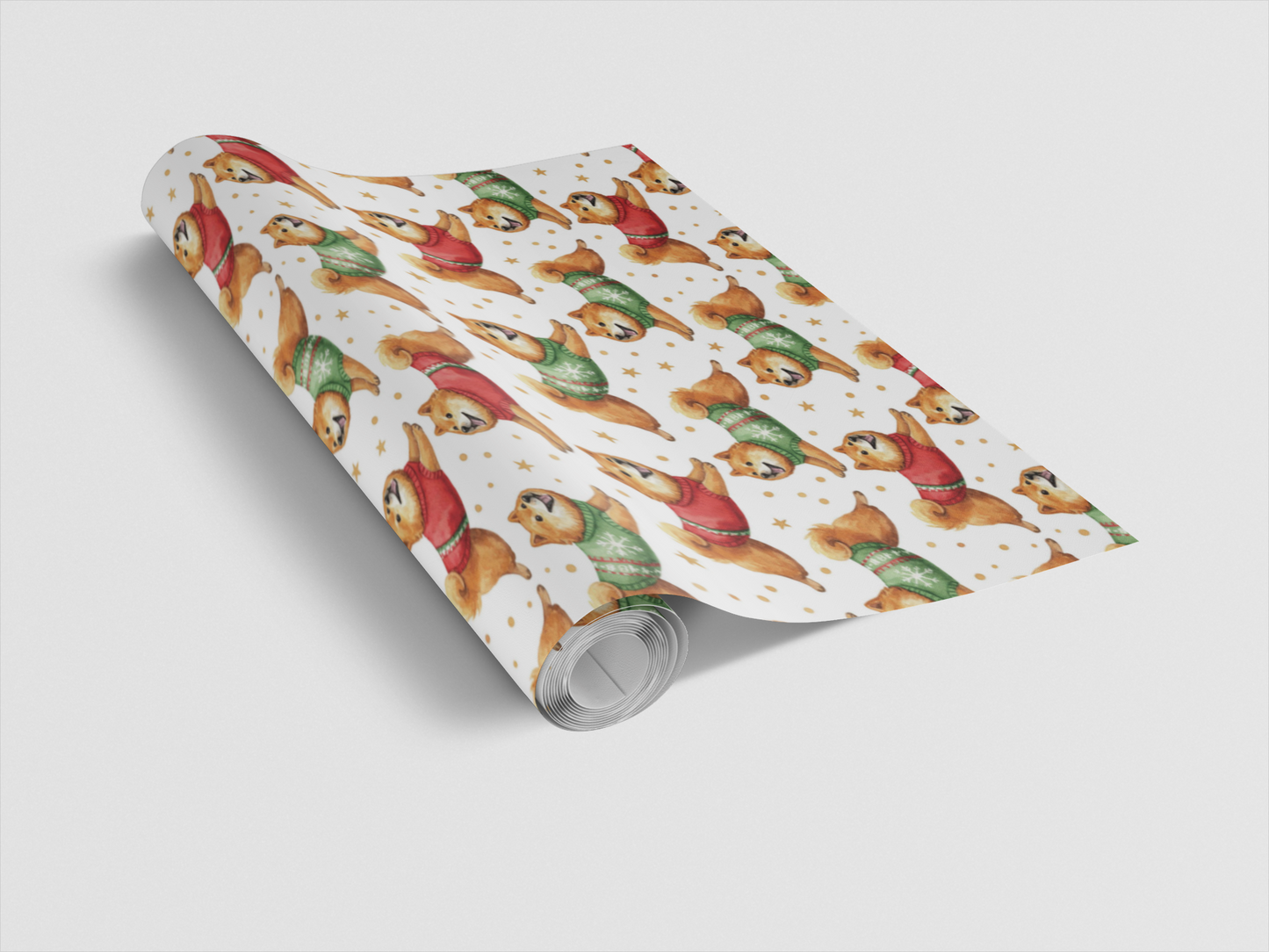 Shiba in Holiday Motion