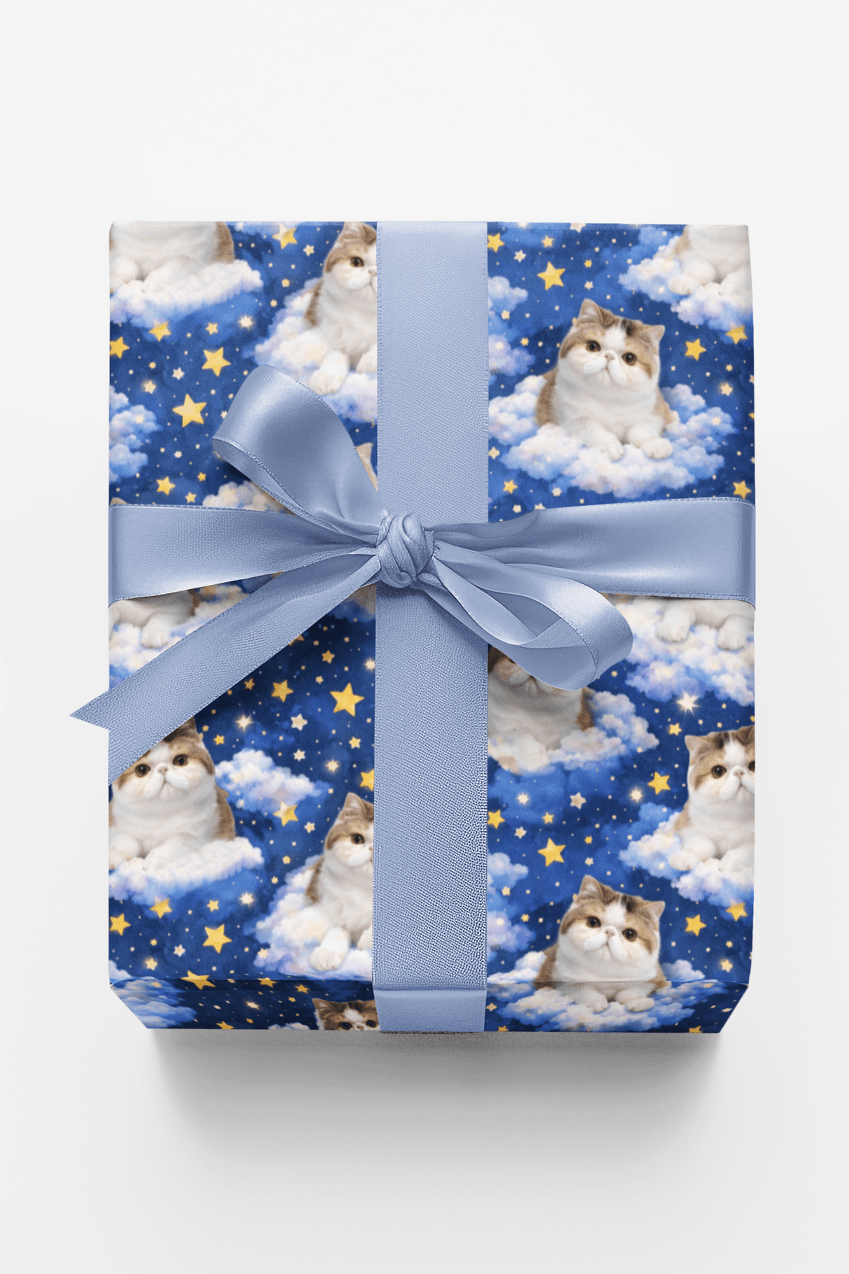 Exotic Shorthair Dreams - London Penny Gift Wrap