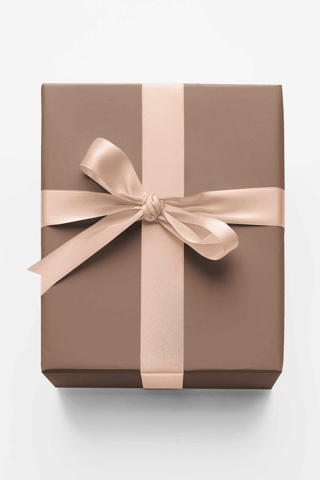 Blush Charm Ribbon - London Penny Gift Wrap