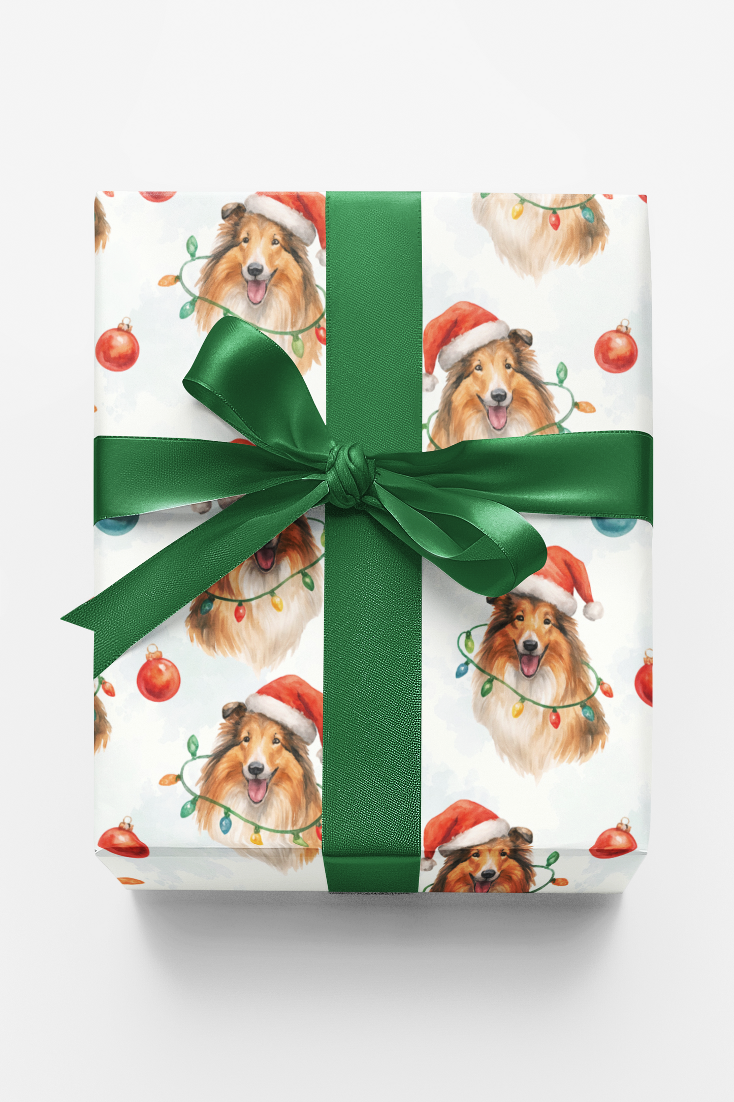 Snowlight Collie
