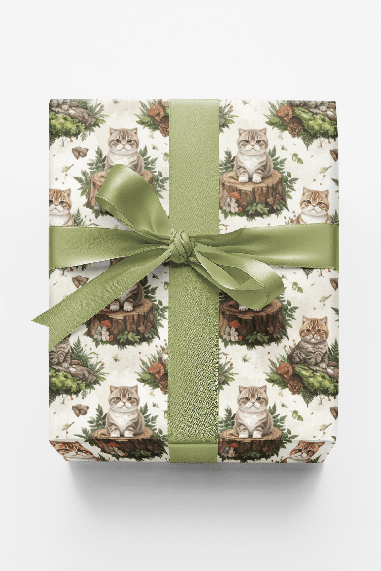 Enchanted Woodland (Exotic Shorthair) Wrapping Paper - London Penny Gift Wrap