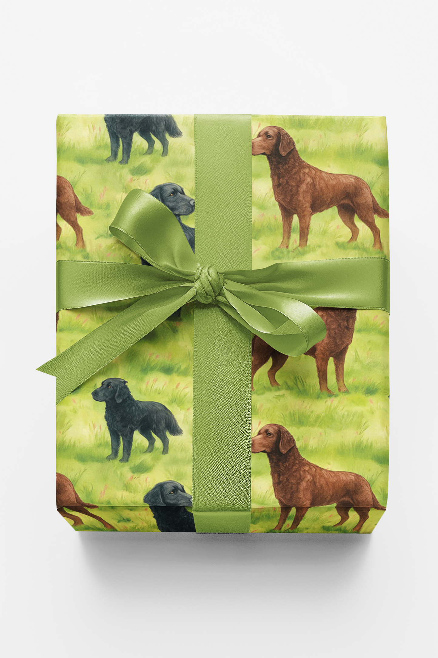 Retriever Whorls