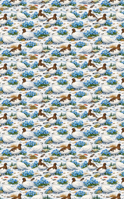 Alaska Flora & Fauna