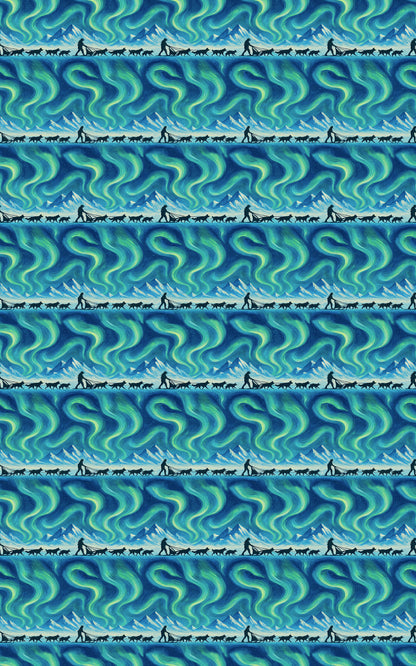 Alaskan Aurora Trail