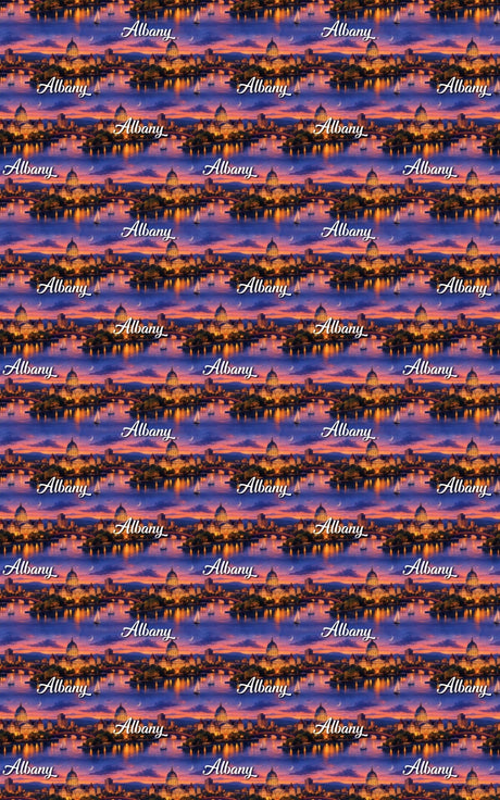Albany Empire State Gold - London Penny Gift Wrap