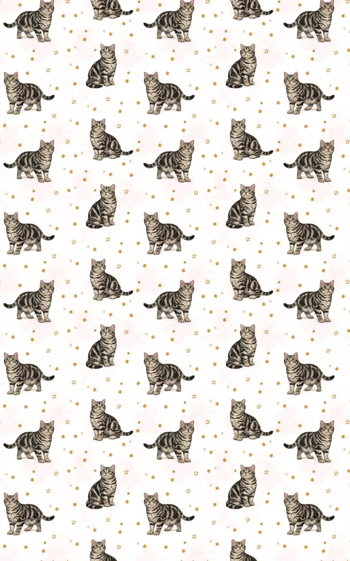 American Shorthair Classic - London Penny Gift Wrap