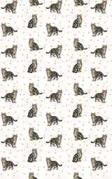 American Shorthair Classic - London Penny Gift Wrap