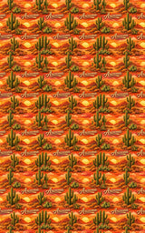 Arizona Desert Sun - London Penny Gift Wrap