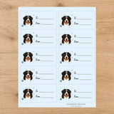 Bernese Mountain Dog  Pawprint Wishes Gift Tag Sticker Sheet
