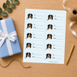 Bernese Mountain Dog  Pawprint Wishes Gift Tag Sticker Sheet
