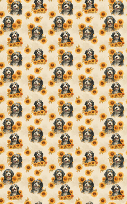 Bernedoodle in Bloom