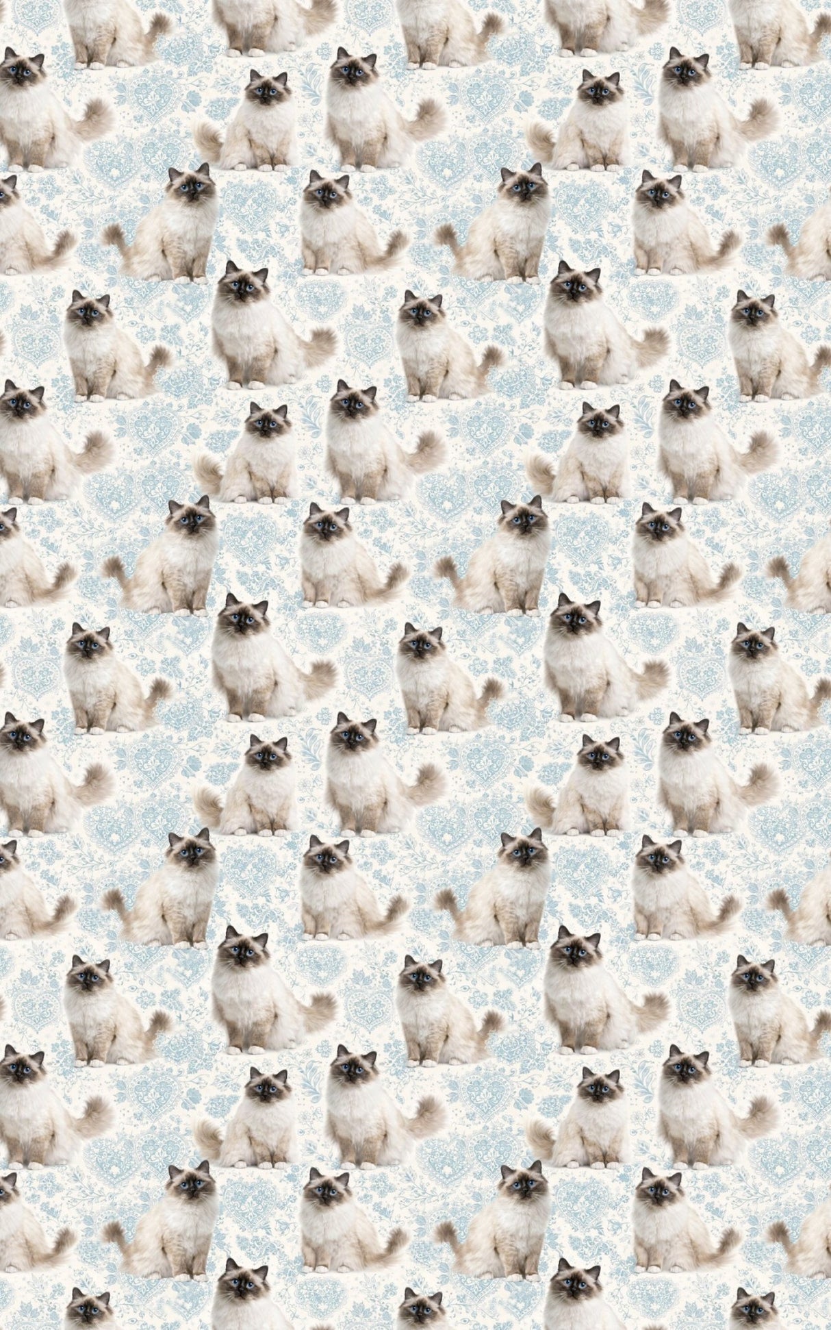Birman Blue Elegance - London Penny Gift Wrap