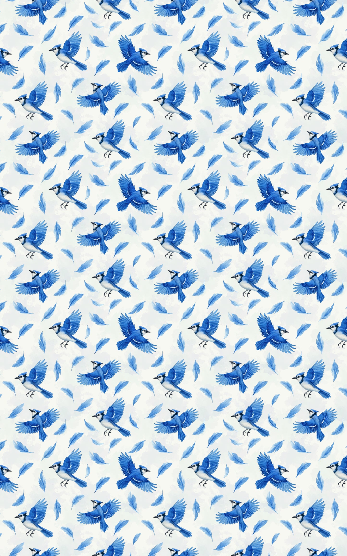 Blue Jay Symphony