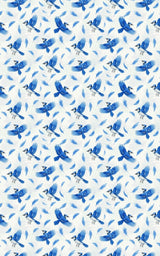 Blue Jay Symphony - London Penny Gift Wrap