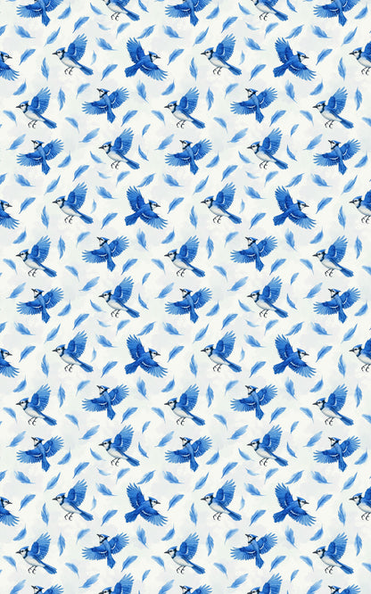 Blue Jay Symphony