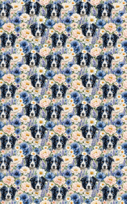 Border Collie Bloom