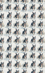 Tuxedo Tracks in the Snow - London Penny Gift Wrap