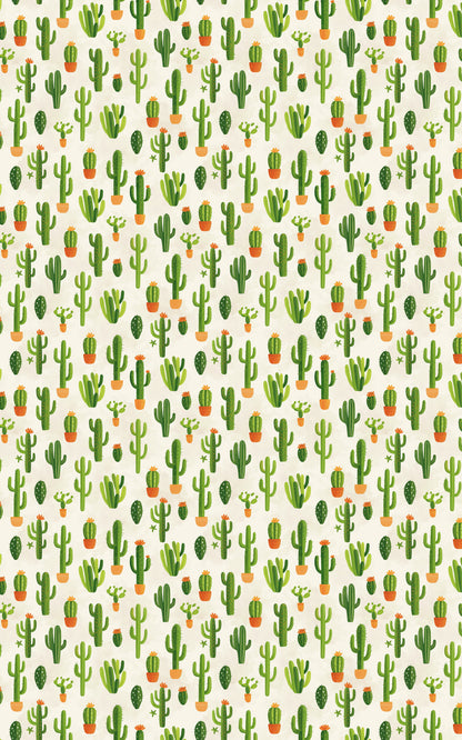 Cactus Garden