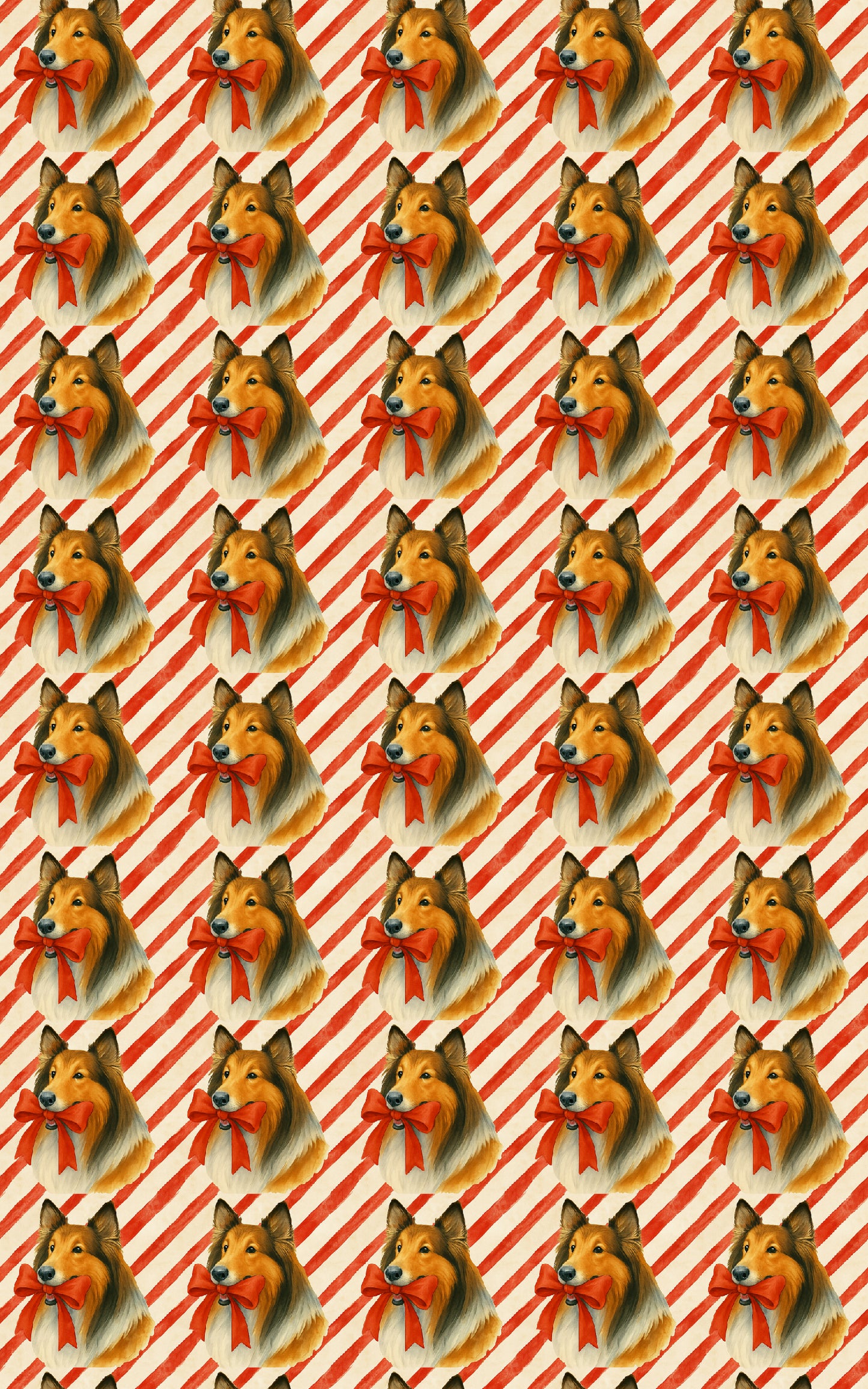 Candy Cane Collies
