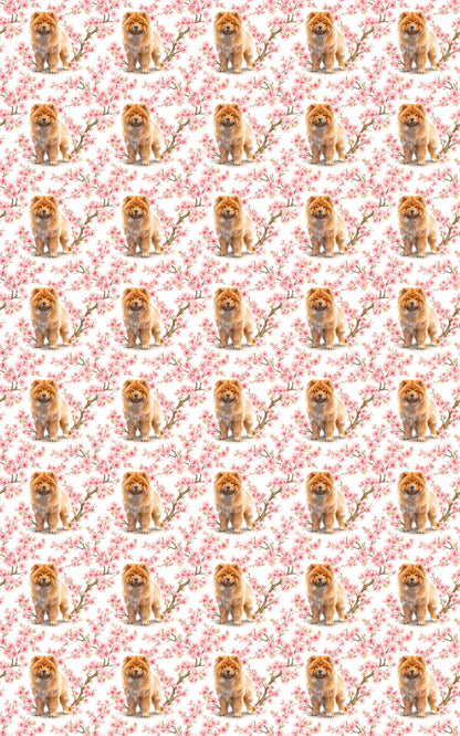 Chow Chow Cherry Blossom