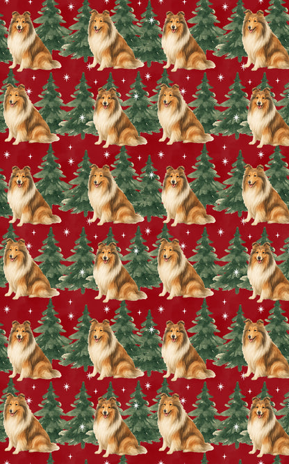 Collie in Winter Pines