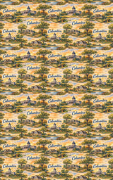 Columbia SC Southern Capitol - London Penny Gift Wrap