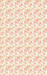 Blushing Vine - London Penny Gift Wrap