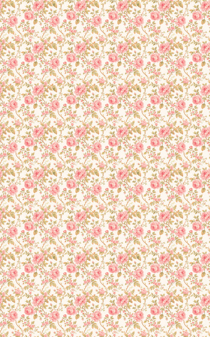 Blushing Vine