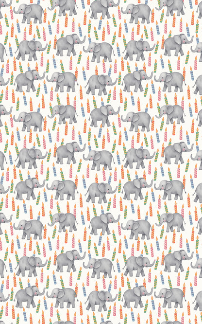 Elephant Birthday Bash