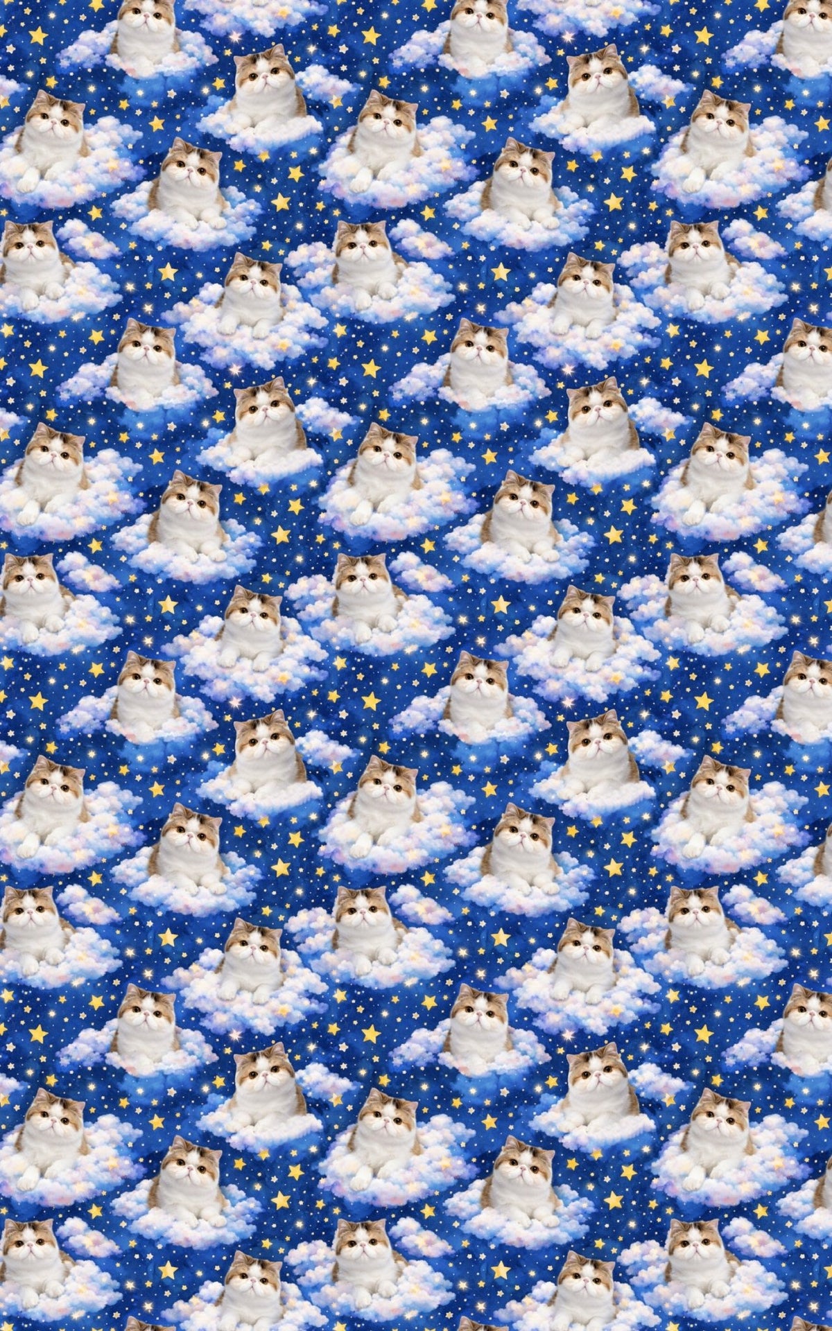 Exotic Shorthair Dreams - London Penny Gift Wrap